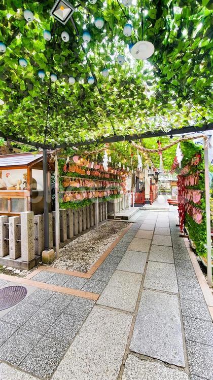 お初天神　露天神社の境内 お初天神,露天神社,大阪府の写真素材