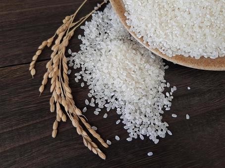 お米と稲穂_焦茶木目バック_14 お米と稲穂_焦茶木目バック_14 秋,秋の味覚,新米の写真素材