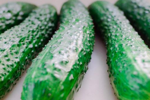 Close-up of cucumber bumps, JPG