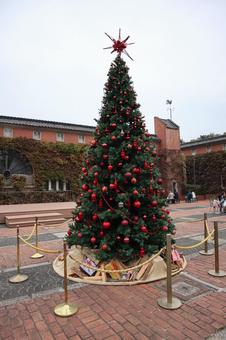 クリスマスツリー　アイビースクエア クリスマスツリー,アイビースクエア,日本の写真素材