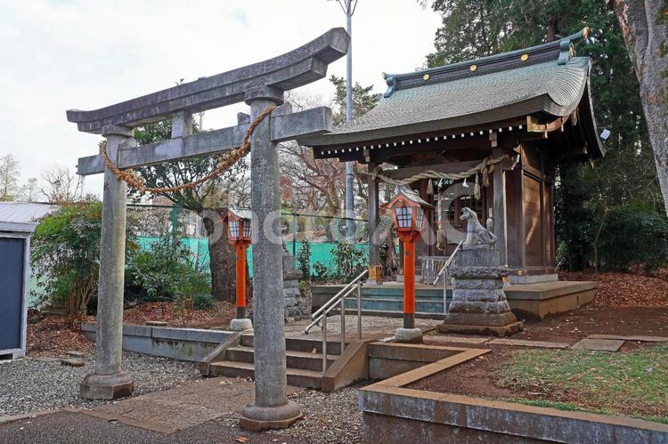 六所神社（世田谷） 六所神社,武蔵総社六所宮分霊,天照皇大神の写真素材