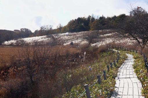 八島湿原の写真