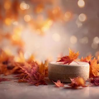 優しい光に包まれた秋の写真