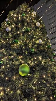 クリスマスツリー クリスマスツリー 冬,クリスマス,ツリーの写真素材
