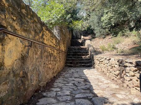 グエル公園の散策路(バルセロナ) グエル公園の散策路(バルセロナ) バルセロナ,スペイン,グエル公園の写真素材