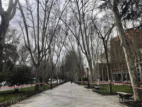 スペイン、マドリードの街並みと風景の写真