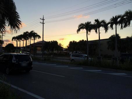 街路樹のヤシの木と逆光の夕暮、シルエット 街路樹のヤシの木と逆光の夕暮、シルエットの写真