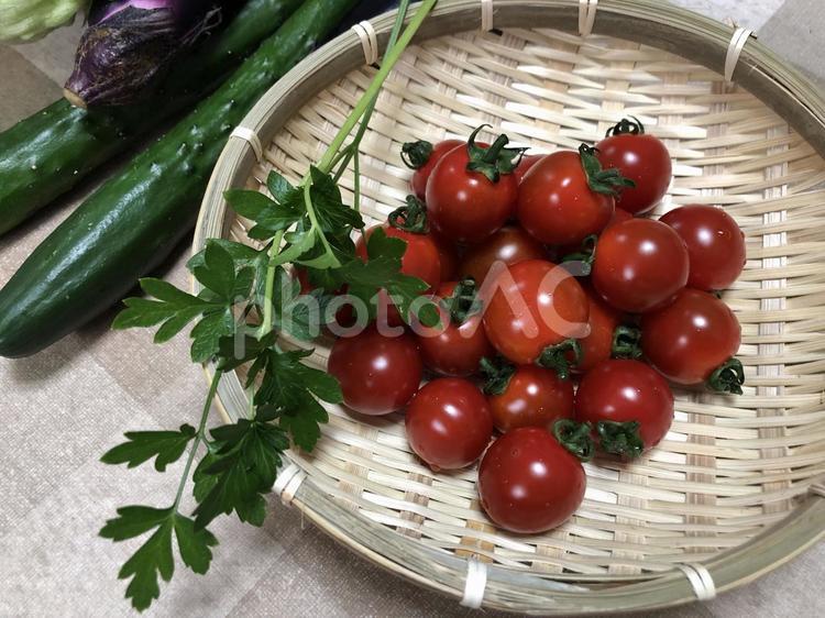 夏野菜獲れました！ トマト,きゅうり,なすの写真素材
