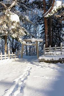 冬の上川神社 - 境内の小さな鳥居 神社,鳥居,上川神社の写真素材