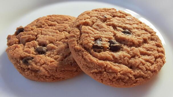 チョコチップ入りクッキー・1 クッキー,お菓子,おやつの写真素材