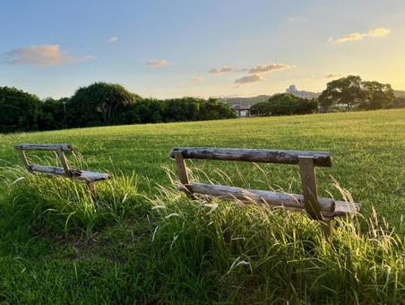 朝の風景 朝の風景 朝日,公園,自然の写真素材