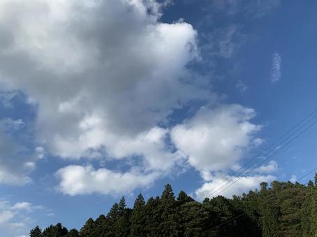青空 青空の写真