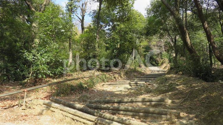 山崎合戦古戦場　天王山　登山道 山崎古戦場,山崎合戦古戦場,山崎の戦いの写真素材