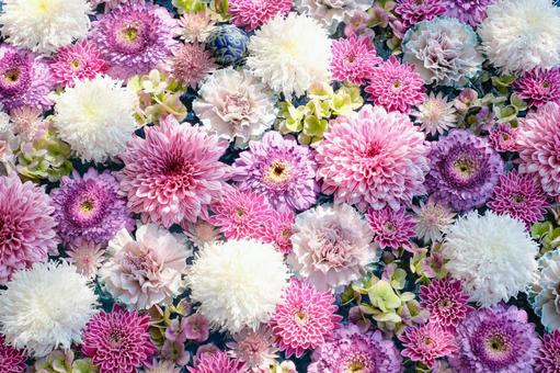 花手水 花手水,花,可愛いの写真素材