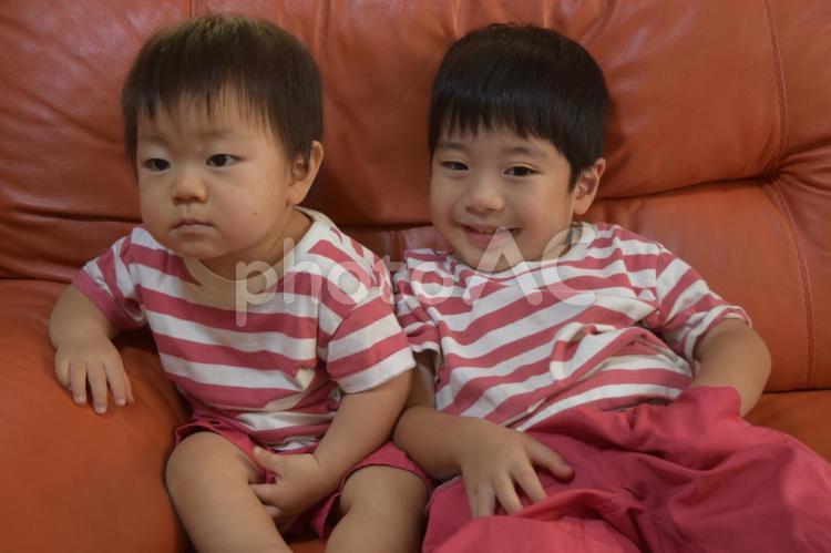 オレンジ色のソファーに座る仲良し兄弟 幼児,男,子供の写真素材