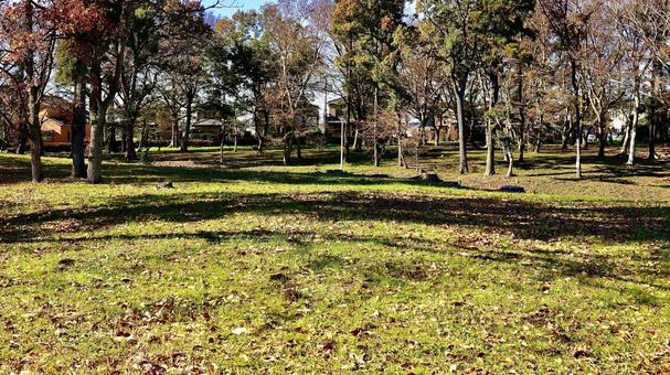 千葉県若葉区の秋の加曽利貝塚公園 千葉県若葉区の秋の加曽利貝塚公園の写真