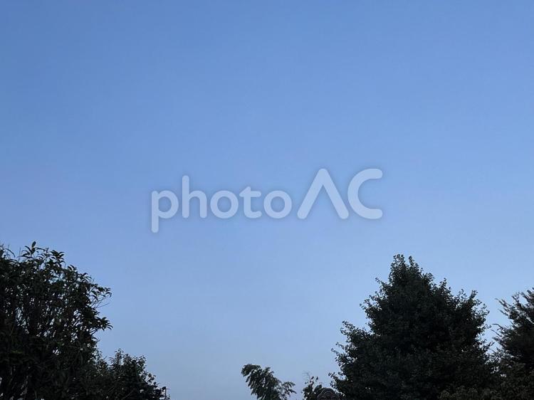 夕方の空と木々 空,雲,木の写真素材