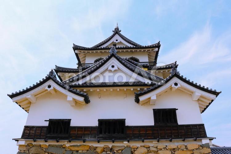 彦根城　背景画像 お城,天守閣,青空の写真素材