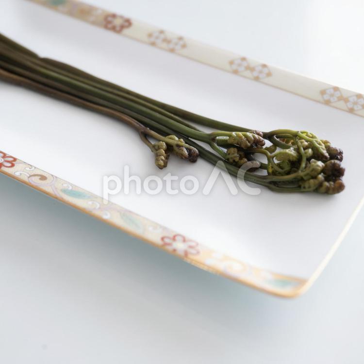 春　山菜のある生活　わらびの醤油漬け 山菜,わらび,朝食の写真素材
