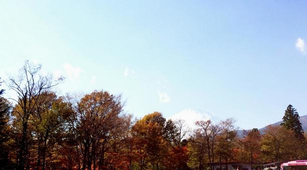 冨士と紅葉 冨士と紅葉の写真