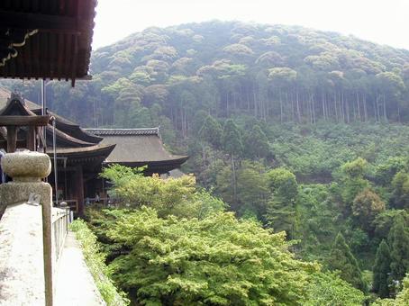 京都 清水寺 京都 清水寺の写真