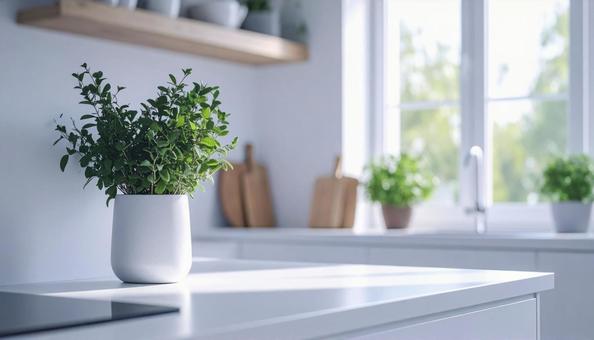 キッチンの観葉植物 キッチンの観葉植物の写真