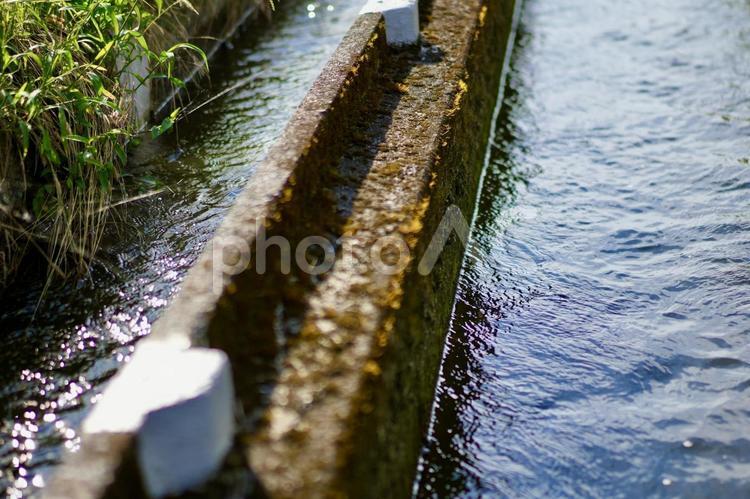田んぼ脇の用水路 田んぼ,用水路,水の写真素材