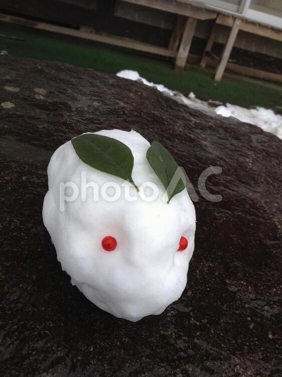 手作りのゆきうさぎ ゆきうさぎ,雪,冬の写真素材