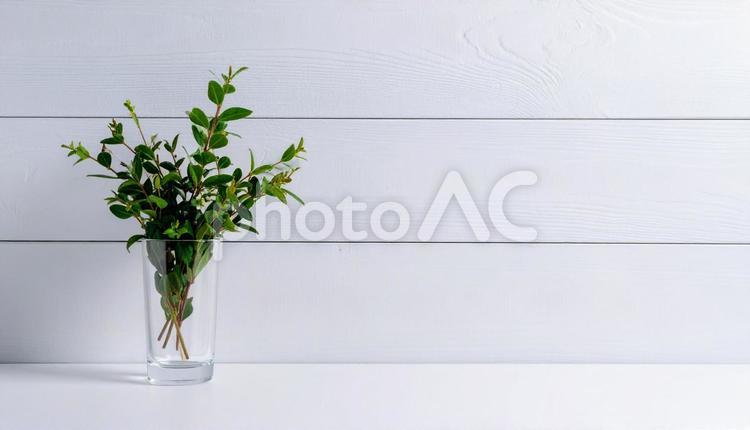 ハーブの花を飾る、コピースペース 花,ハーブ,シンプルの写真素材