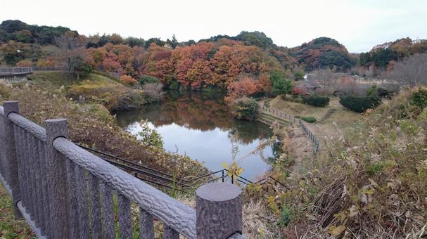 秋の公園と紅葉の池 秋の公園と紅葉の池の写真