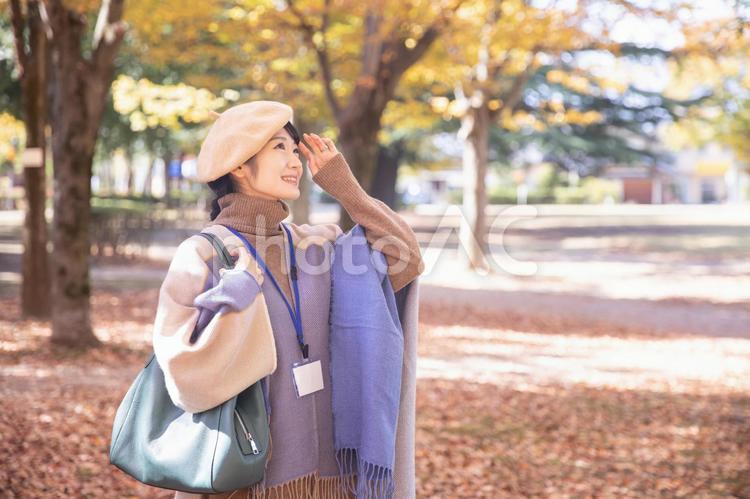 秋の公園にいるネームをつけた女性 女性,秋,公園の写真素材