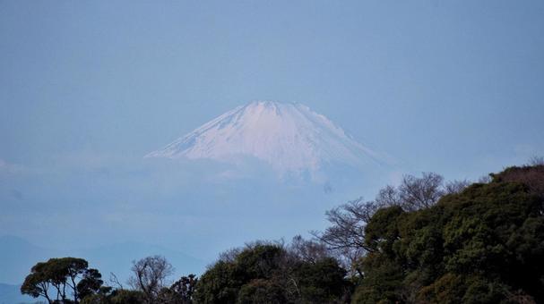 Photo, kenchoji temple, fuji mountain, vision, 