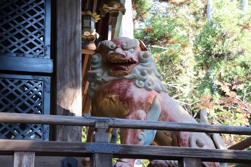 赤山禅院　本殿の獅子 赤山禅院,本殿,獅子の写真素材