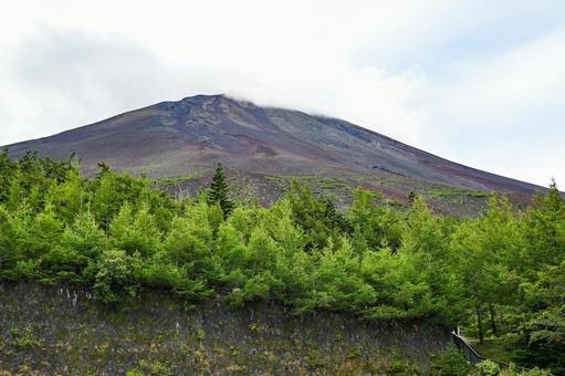 山梨・富士山五合目  富士山,世界遺産,五合目の写真素材