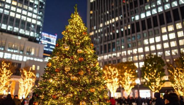 都会のクリスマスツリーとイルミネーション 都会のクリスマスツリーとイルミネーションの写真