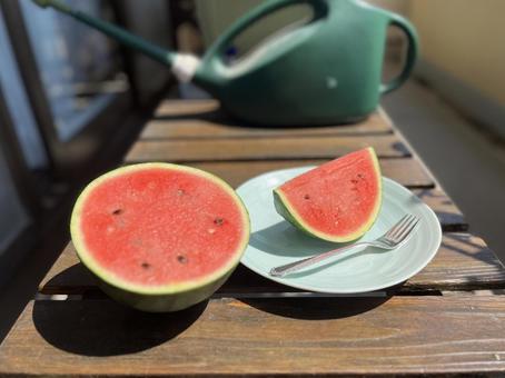 ベランダで食べるスイカ ベランダで食べるスイカ スイカ,果物,甘いの写真素材