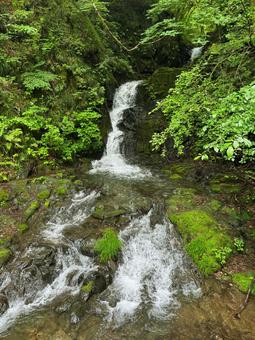 九頭竜の滝 滝,自然,川の写真素材