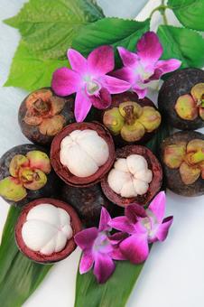 Photo, mangosteen, fruit, tropical fruits, 