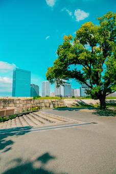 【大阪】大阪城公園の雰囲気 大阪城,お城,城の写真素材