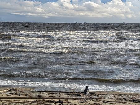 幕張の浜―荒波と一羽のカラス 幕張の浜―荒波と一羽のカラス 海,波,鳥の写真素材