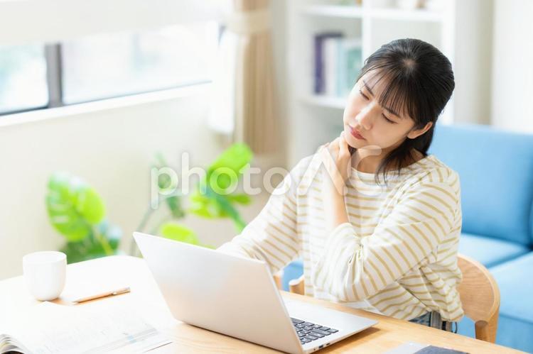 リビングで勉強をする大学生の女性 教育,勉強,女性の写真素材