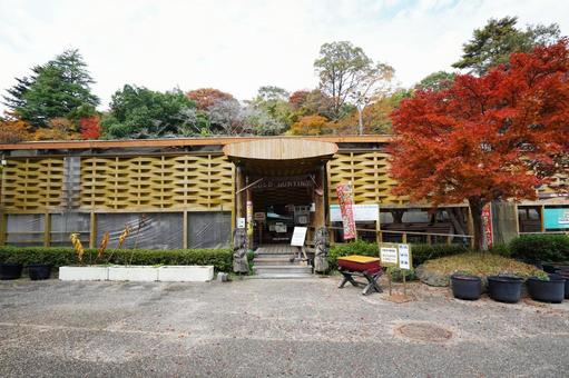 大分 鯛生金山 砂金採り体験場1 鯛生金山,砂金採り体験場,砂金採りの写真素材