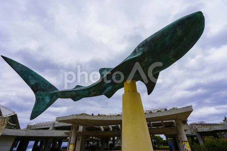 美ら海水族館 美ら海,美ら海水族館,沖縄の写真素材