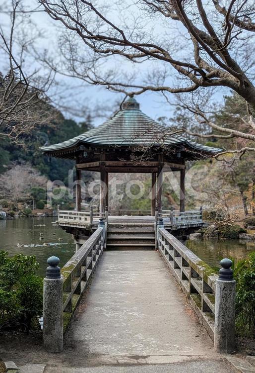 浮御堂　成田山 浮御堂,成田山,木の写真素材