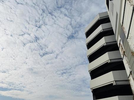 ショッピングモールの駐車場施設 駐車場,車,自動車の写真素材