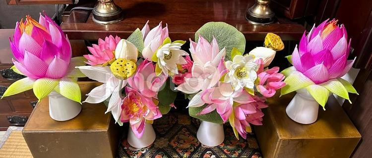 ハスワーク 美しい,鮮やか,カラフルの写真素材