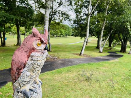 フクロウの置物があるゴルフコース 水上高原ゴルフコース,フクロウ,置物の写真素材