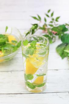 レモン水 レモン水 レモン水,レモンウォーター,ミントの写真素材