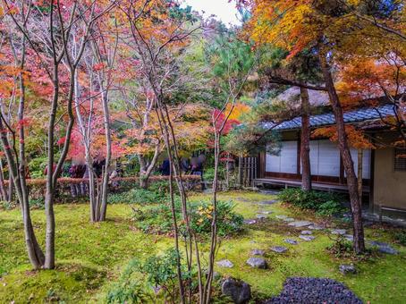 【神奈川県】鎌倉市・一条恵観山荘 【神奈川県】鎌倉市・一条恵観山荘の写真