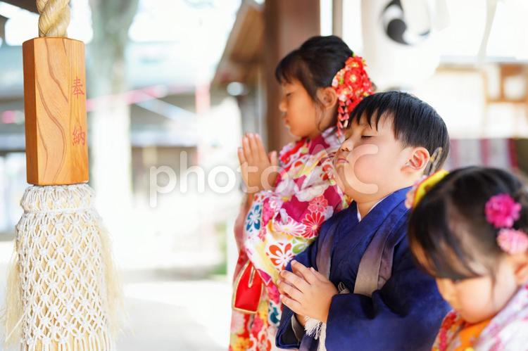 本殿の前で手を合わせる晴れ着姿の姉弟 七五三,お参り,七五三参りの写真素材